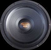 Alto Falante Triton 250W Rms 12